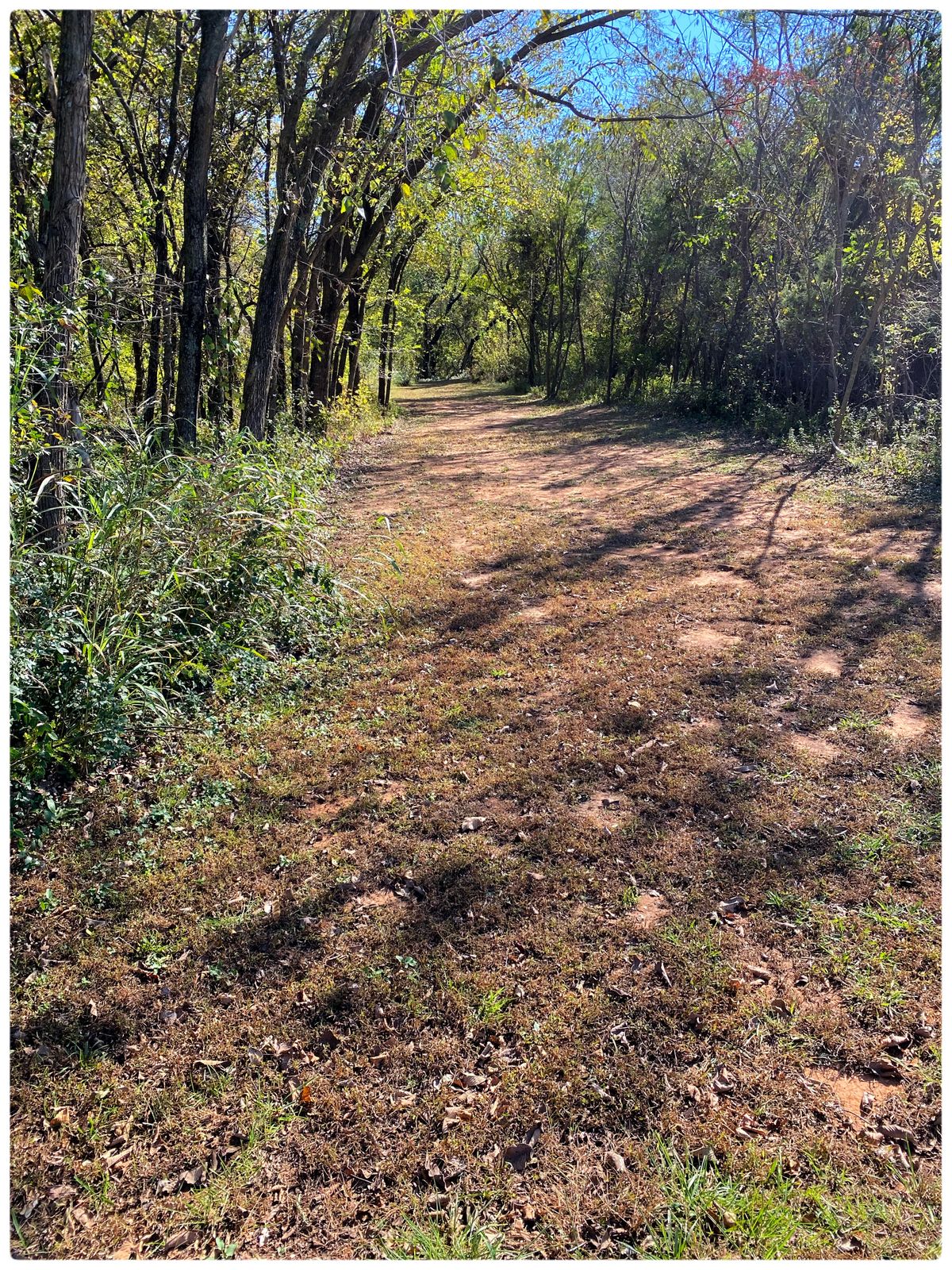 #7 fairway headed south into woods
