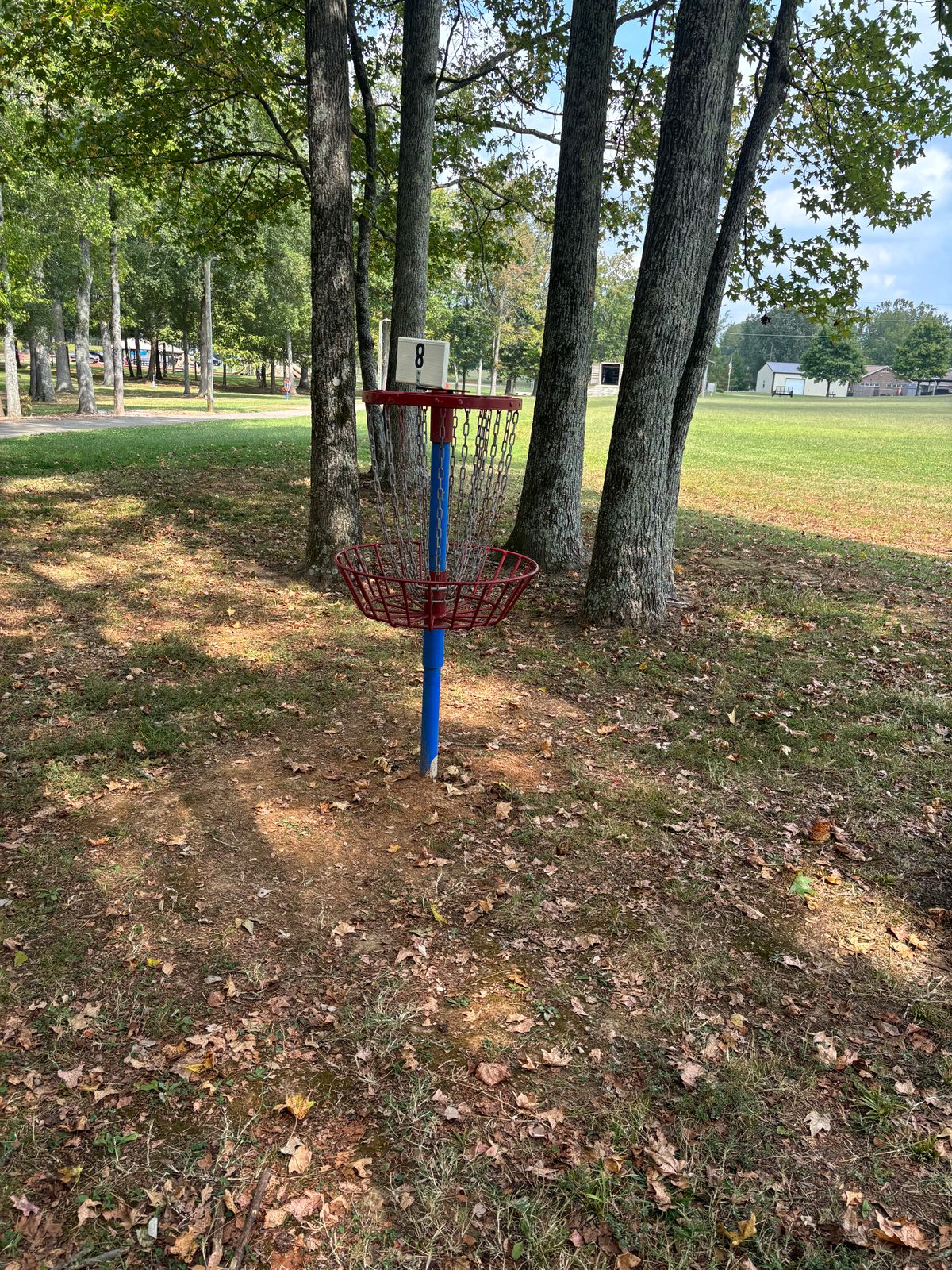 Hole 8 basket