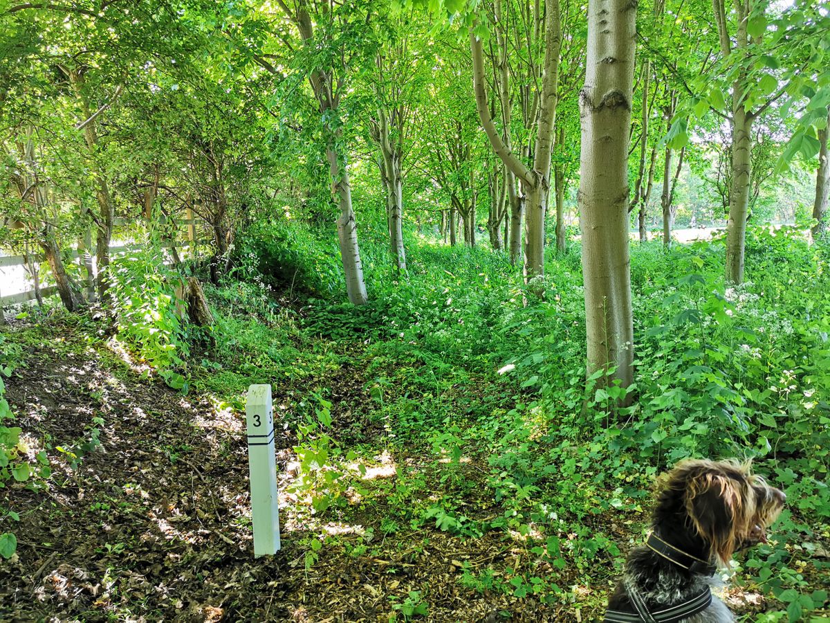 Mereside 'Blue 18' Tee 3