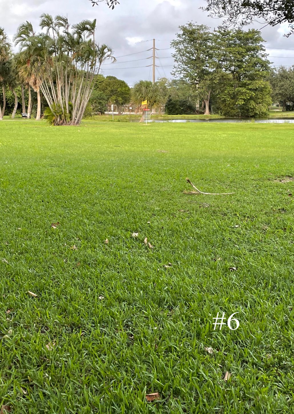 Hole 6 Tee