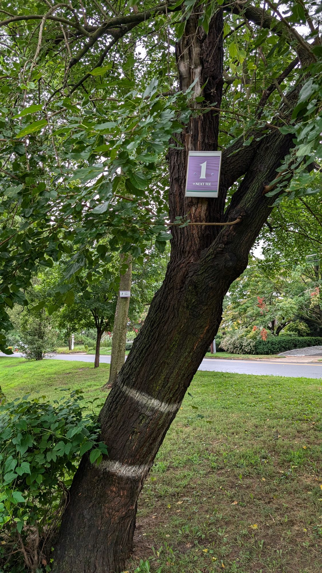 Hole 1 Target (new sign)