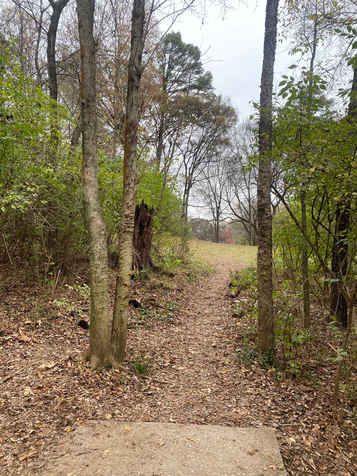 Hole 3