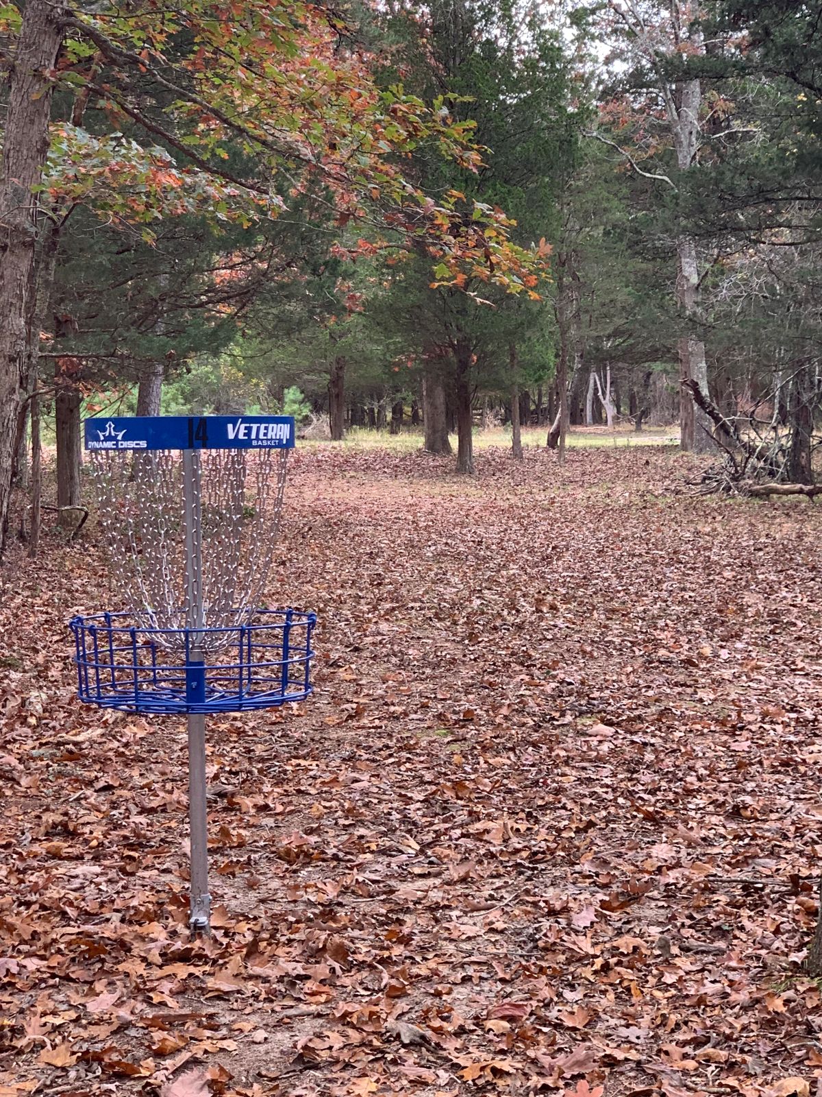 This course is improvin everyday. It’s new and a work in progress. Excited to see it evolve. Hole 14