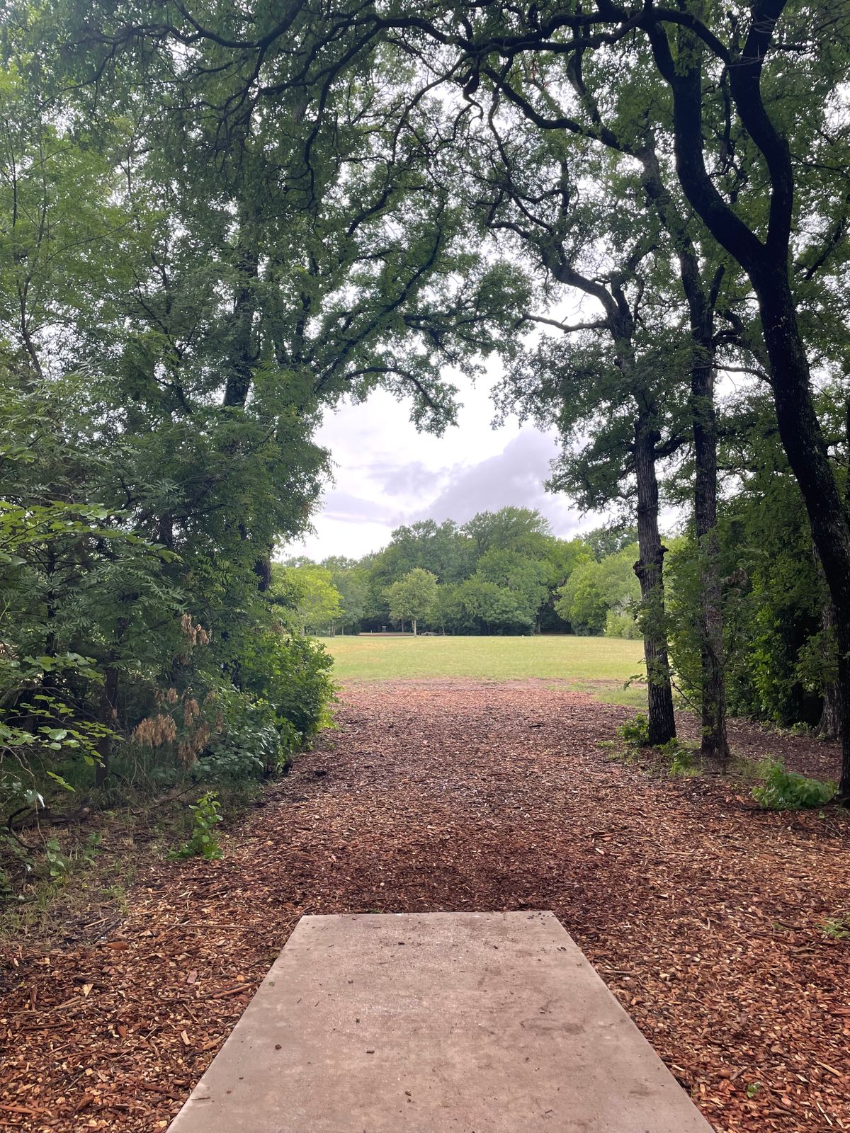 Hole 12, a bit rainy