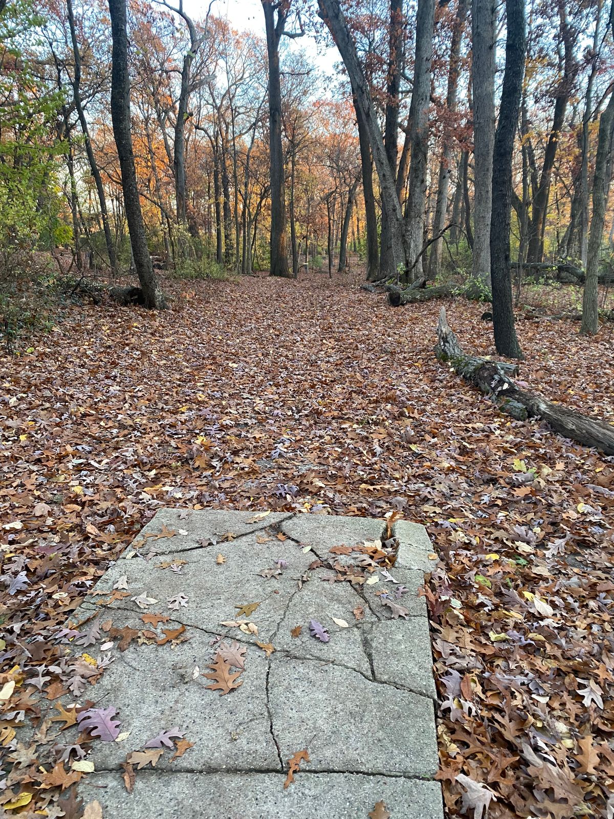 Hole 13 Tee Pad