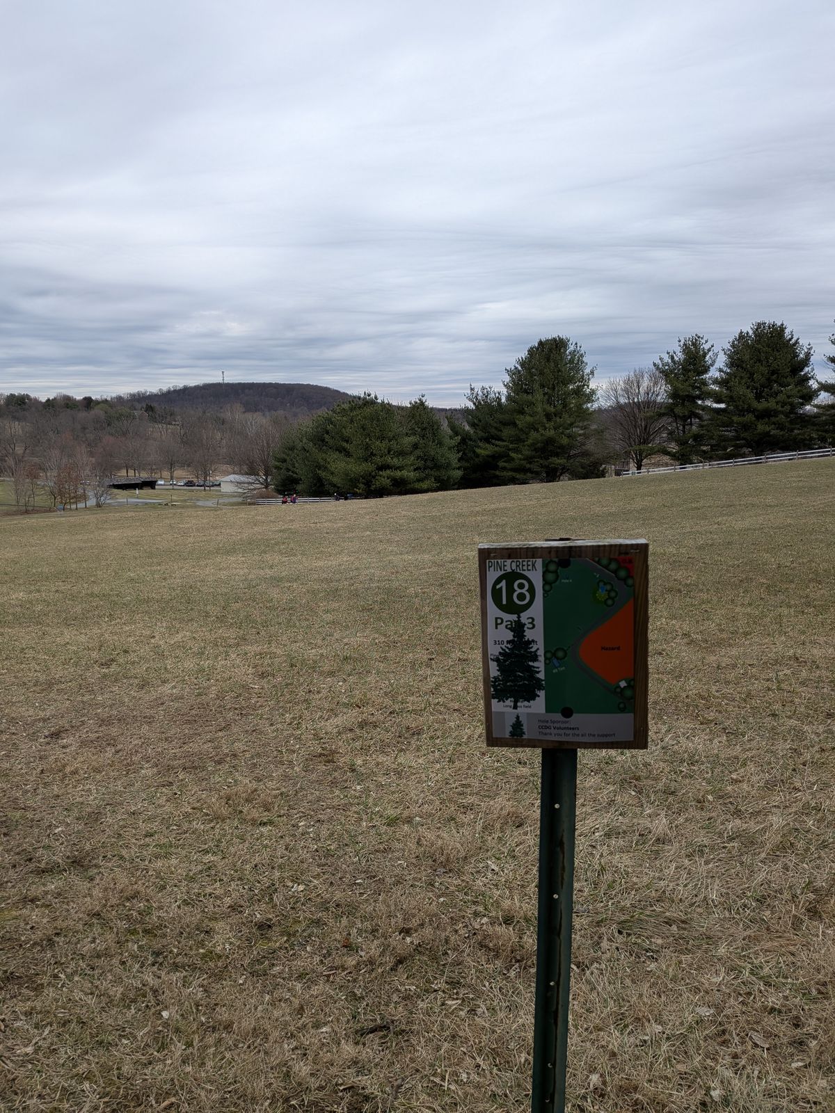 18 tee. Basket is down the hill just inside the trees on the right