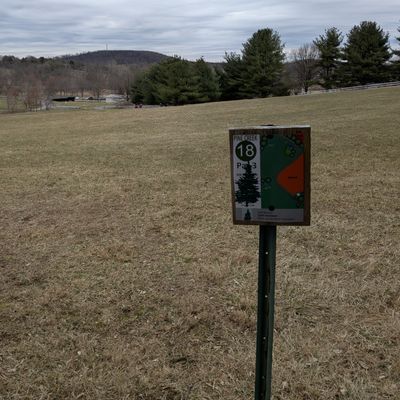 18 tee. Basket is down the hill just inside the trees on the right