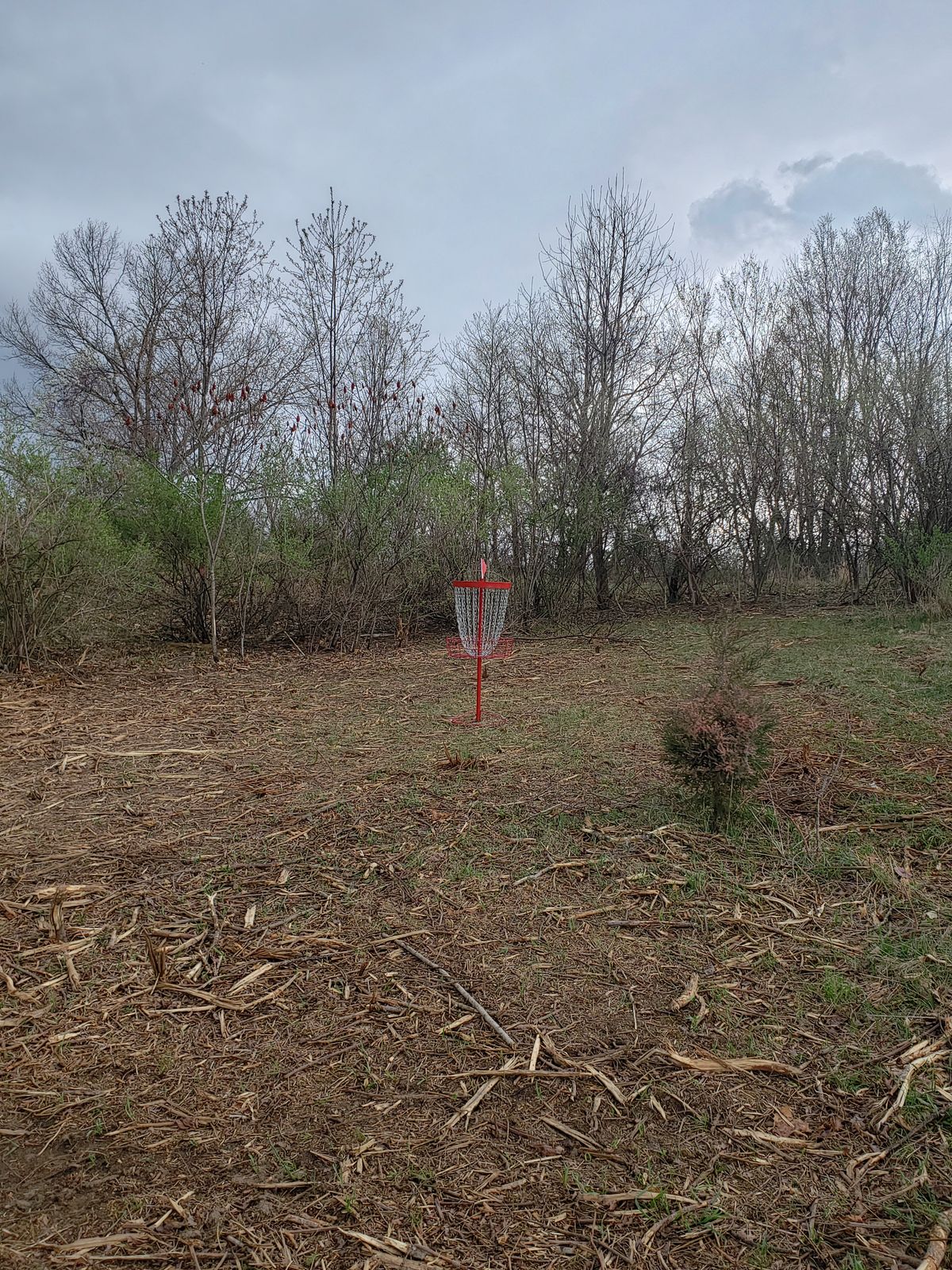 Hole 2 basket.