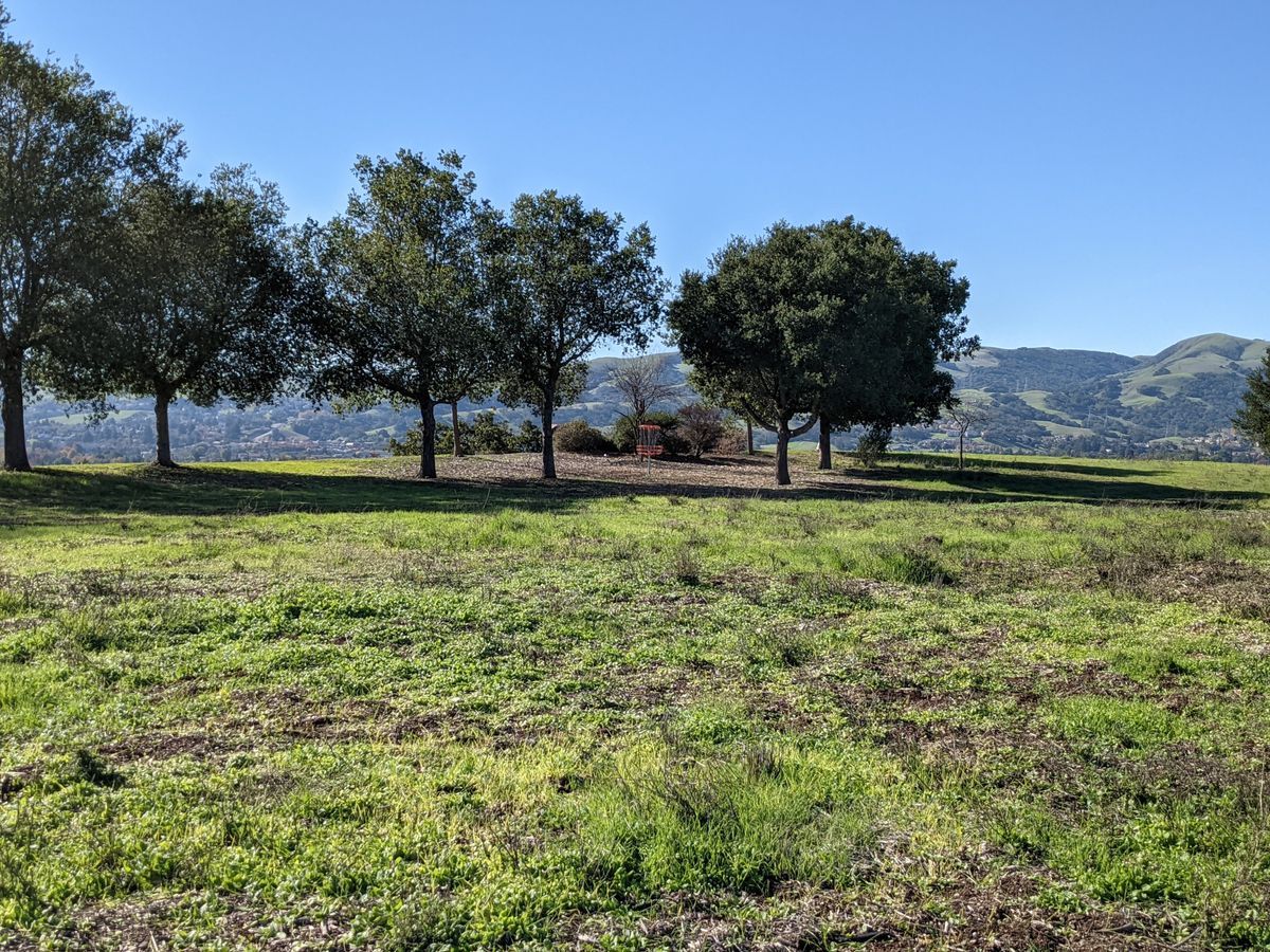 Hole #9