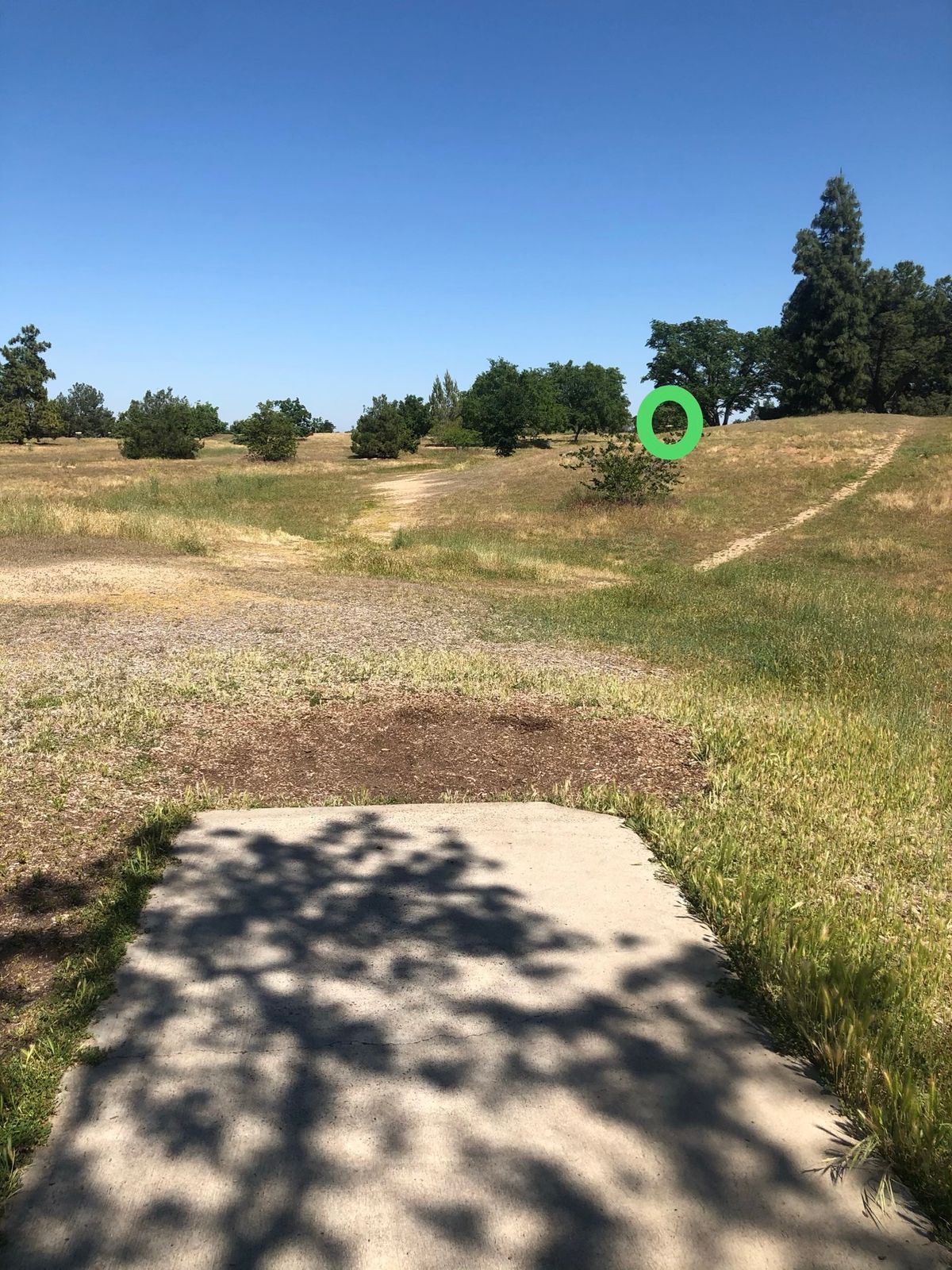 Hole 13 tee to basket