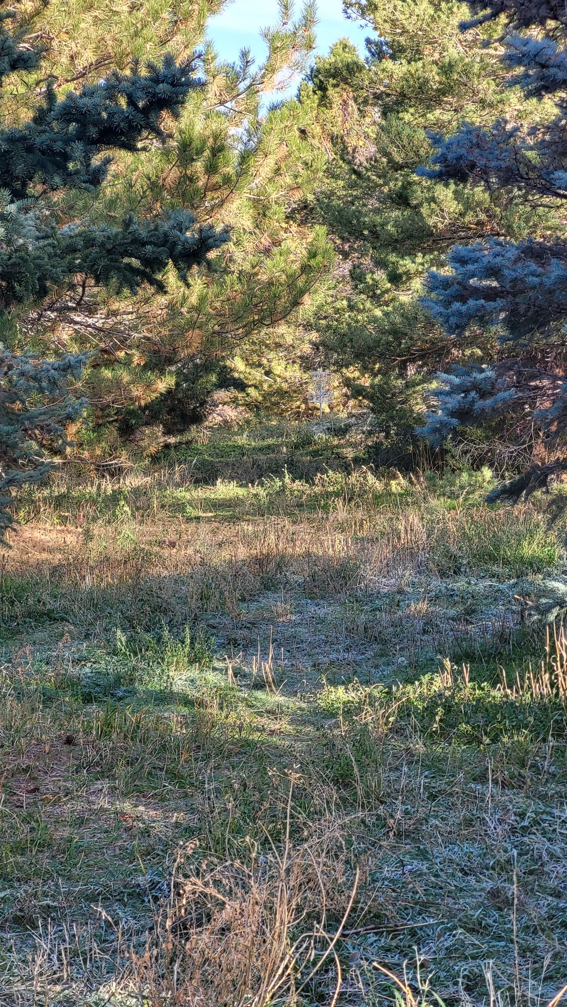 Hole 4 from white