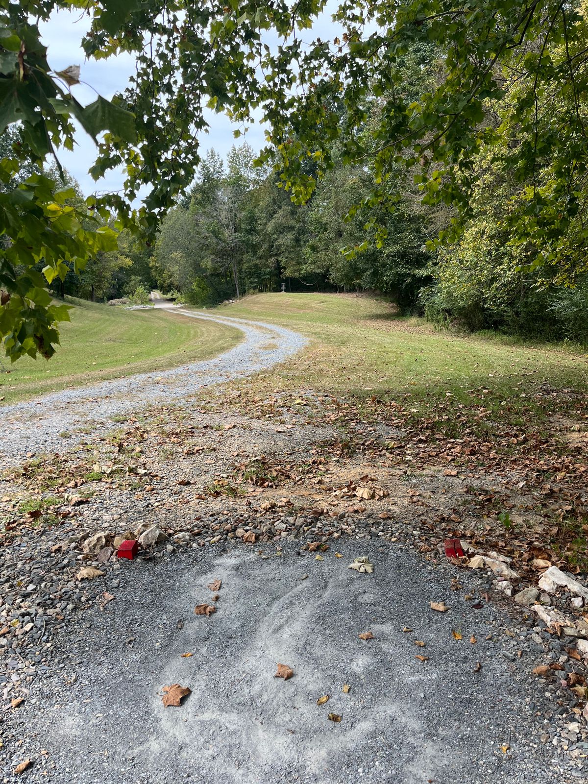 Hole 1: red tee