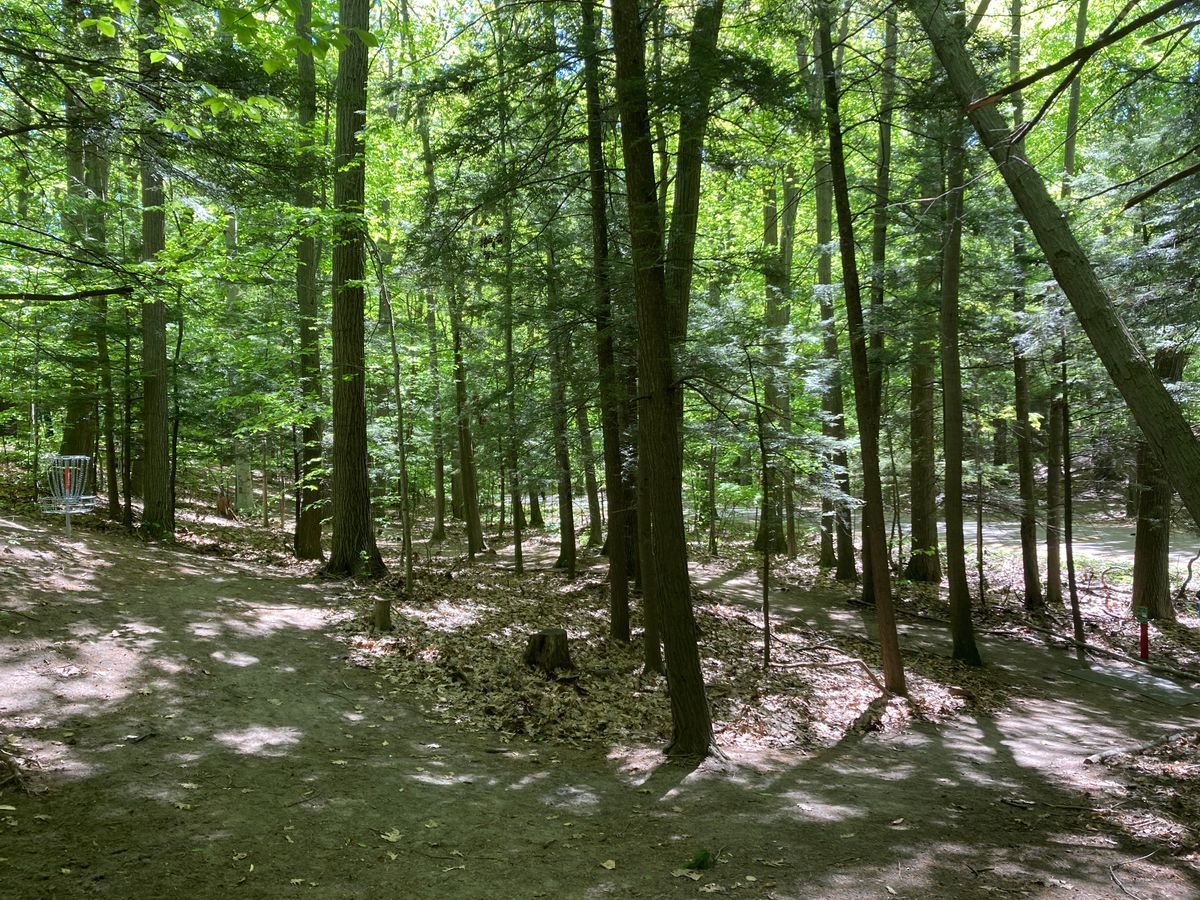Hole 17 on the left, tee pad 18 on the right.