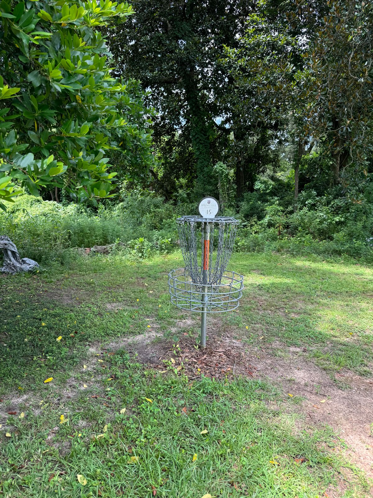 Hole 15