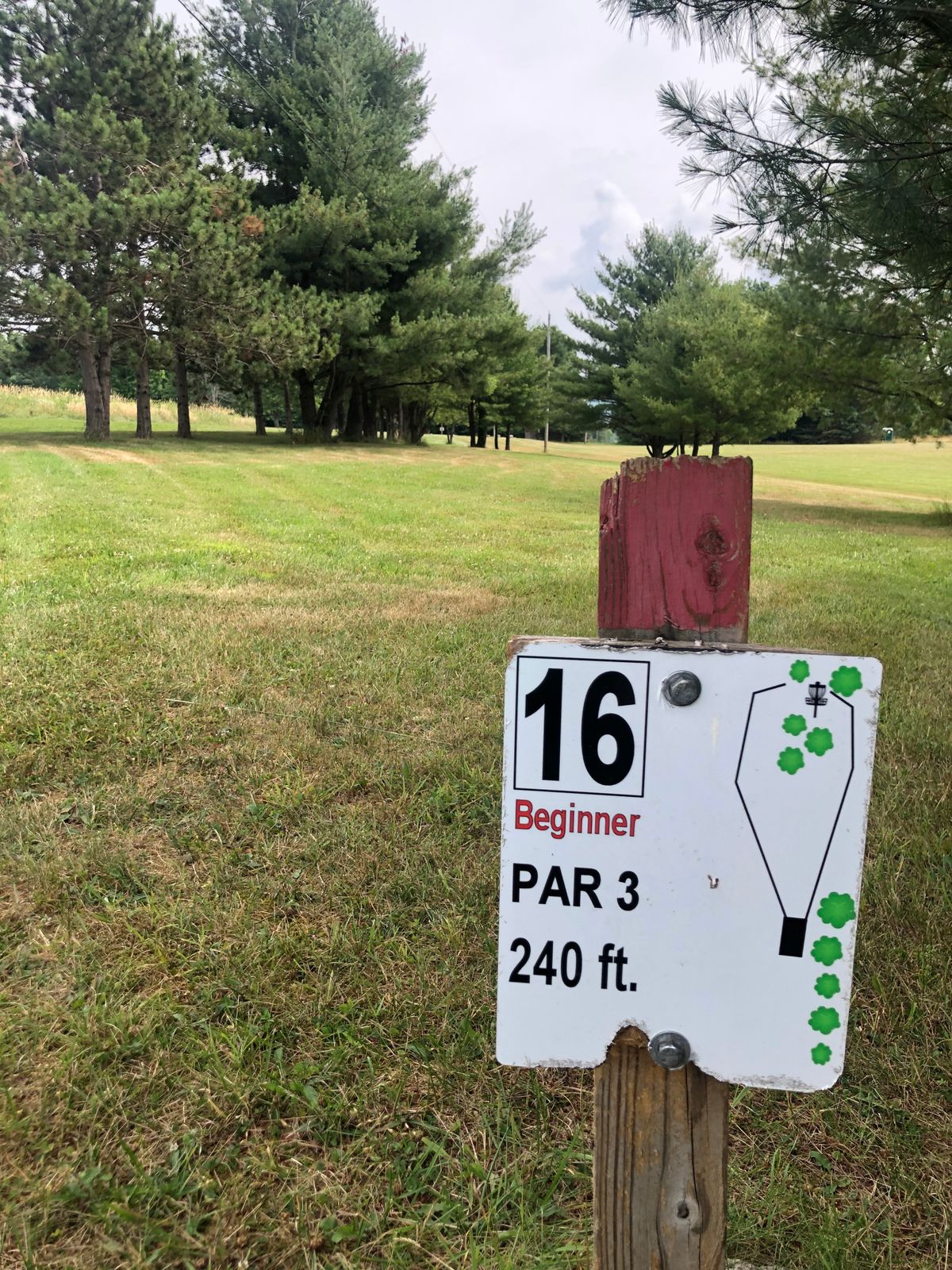 #16R (Basket hidden behind the trees)