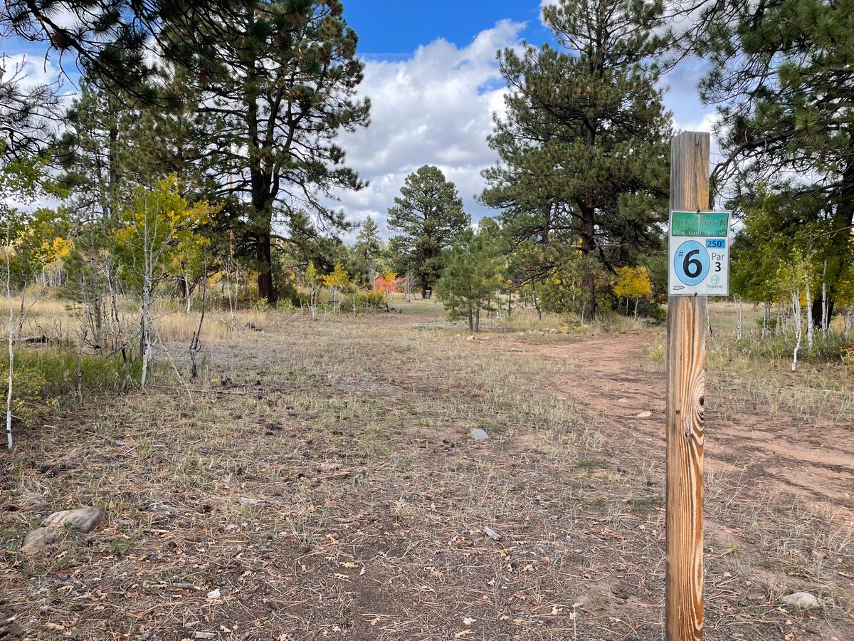 Hole 6 tee Silver Pick Disc Golf Course