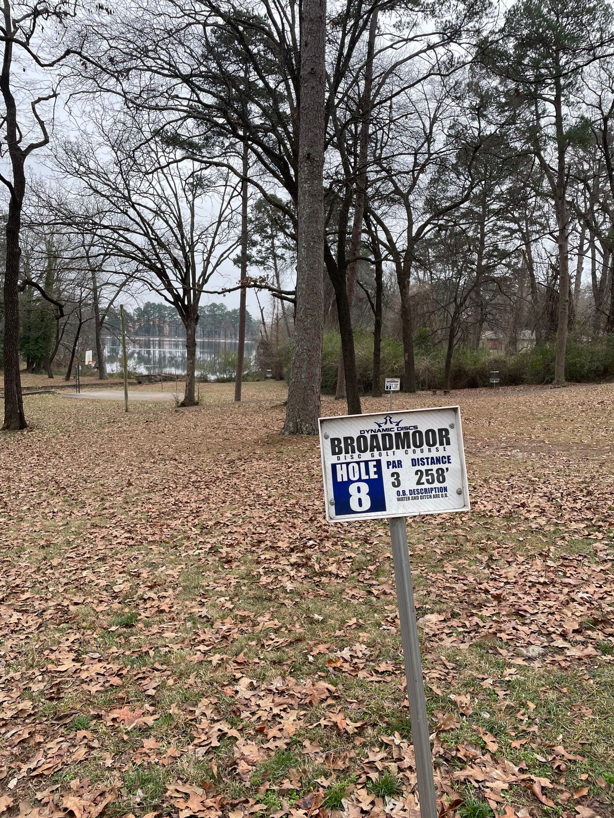 Hole8:  Down to the basket by lake, set back to the right