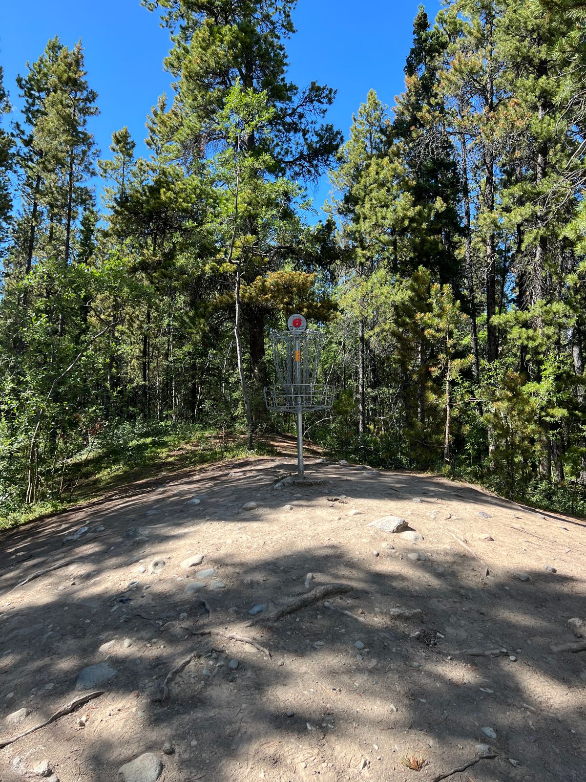 Hole 6 basket