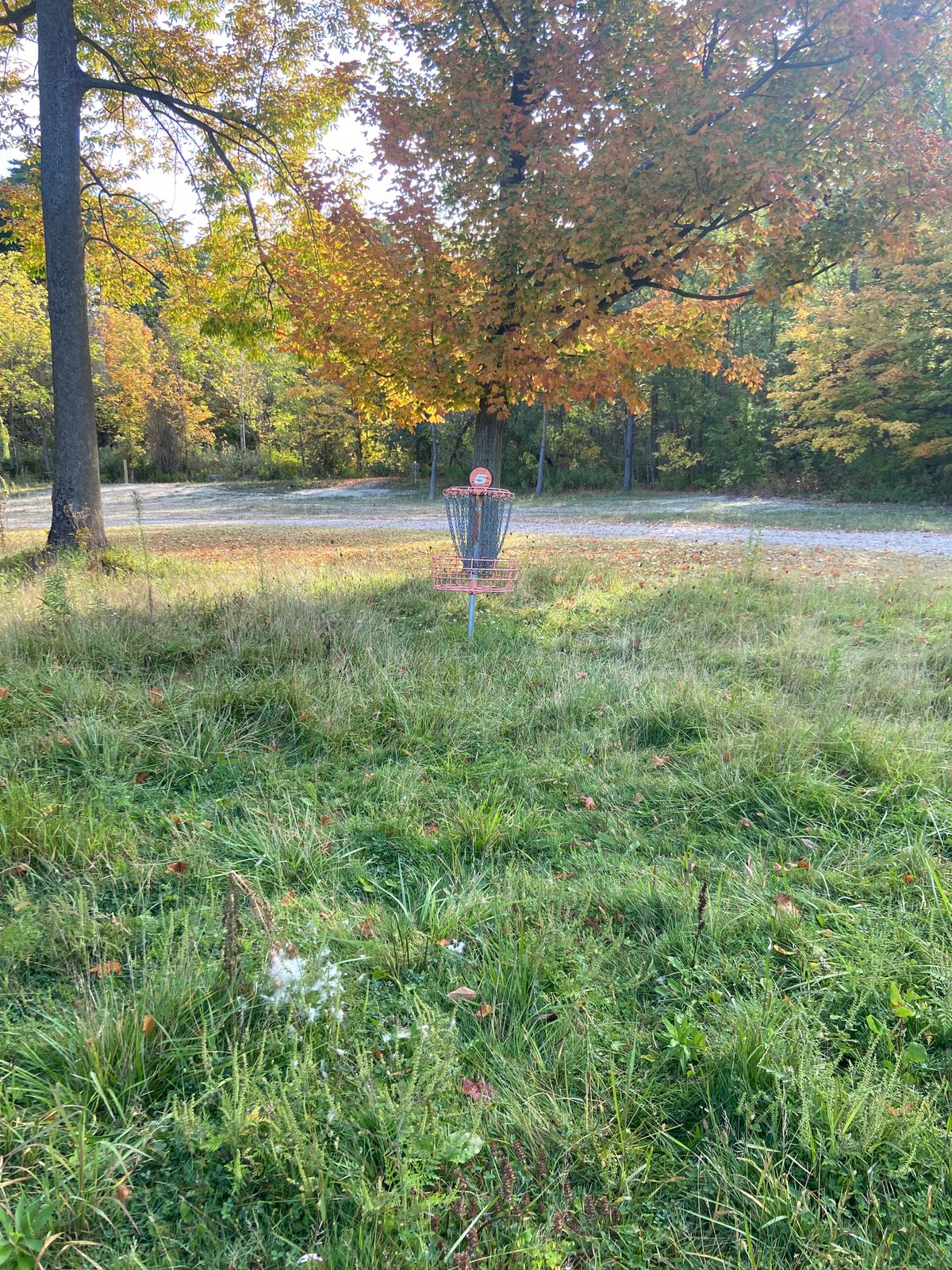 Hole 5’s basket