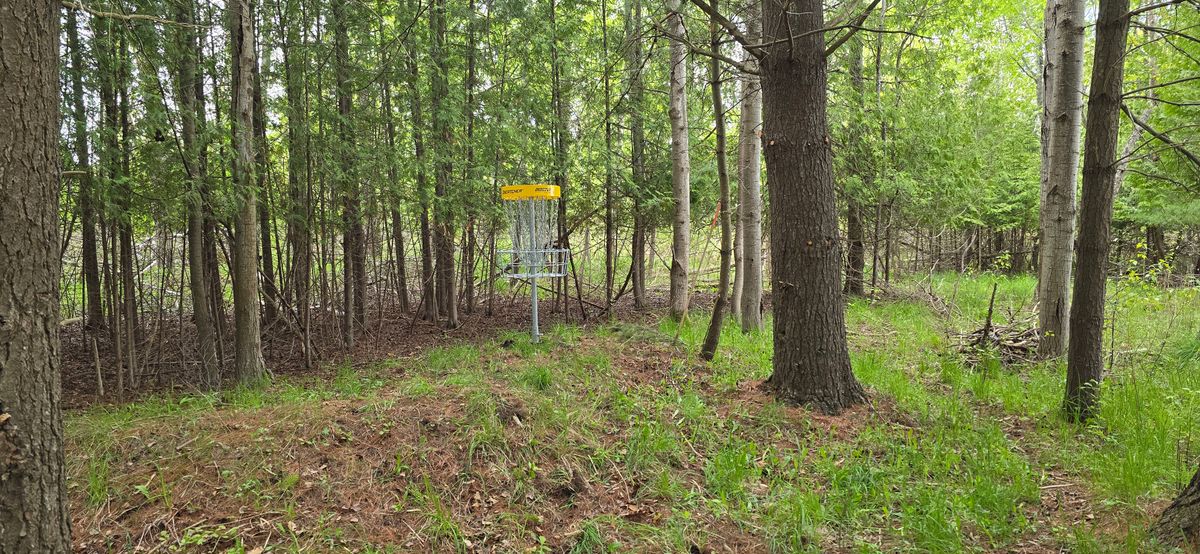 Hole 4 basket
