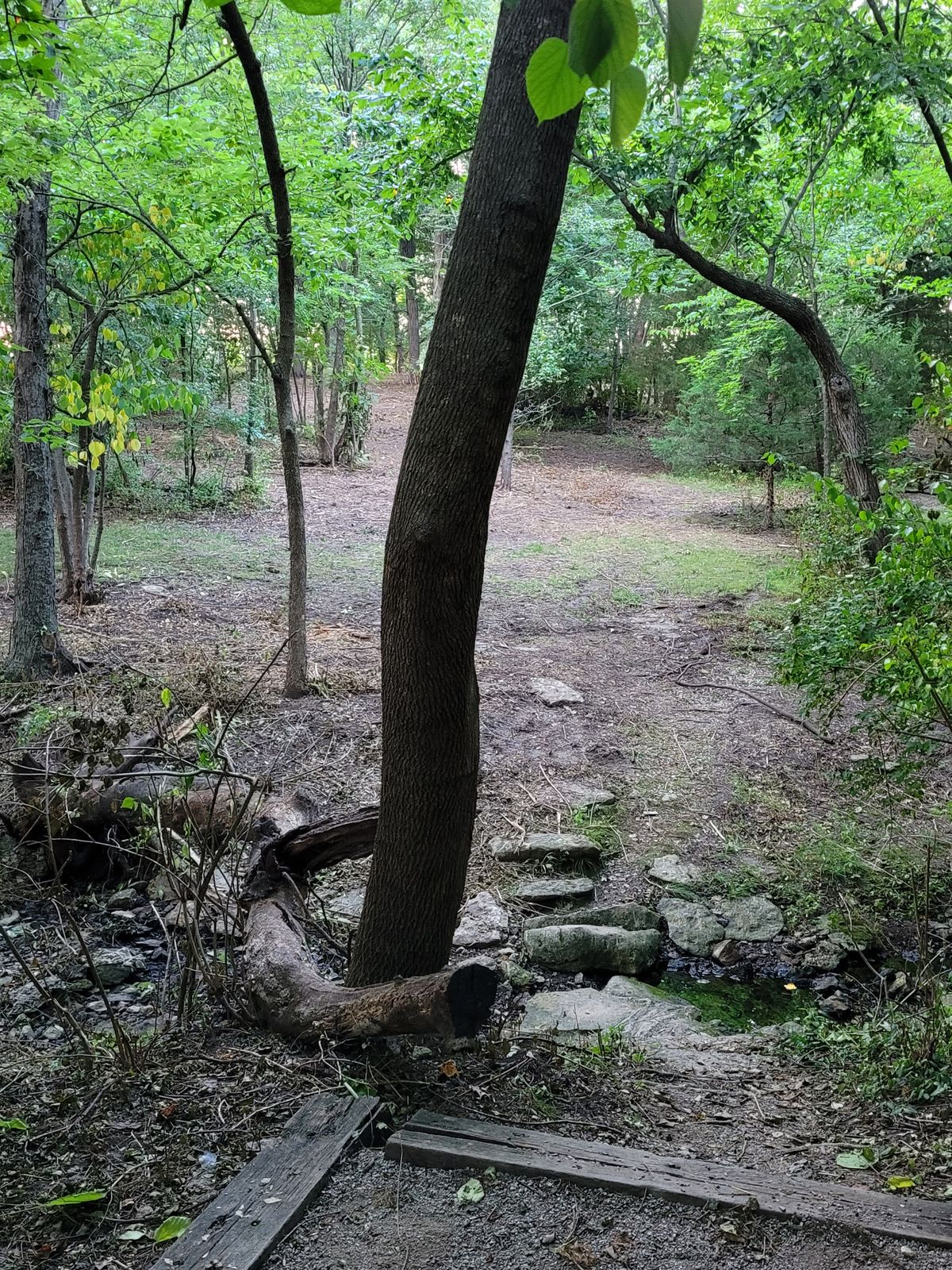 Hole 7