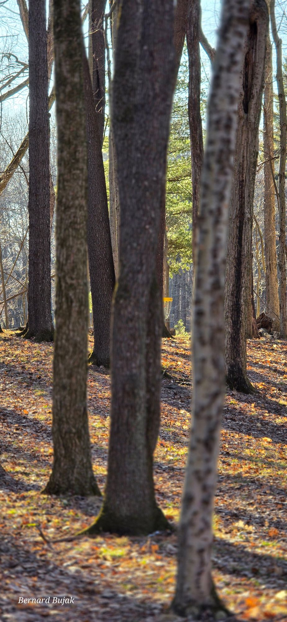 Hole 16 March 1st 2026