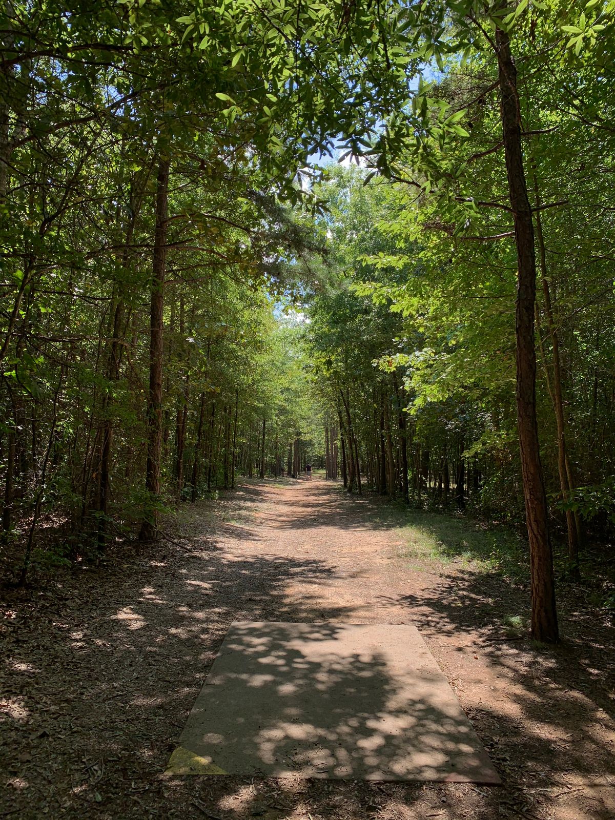 Hole 12