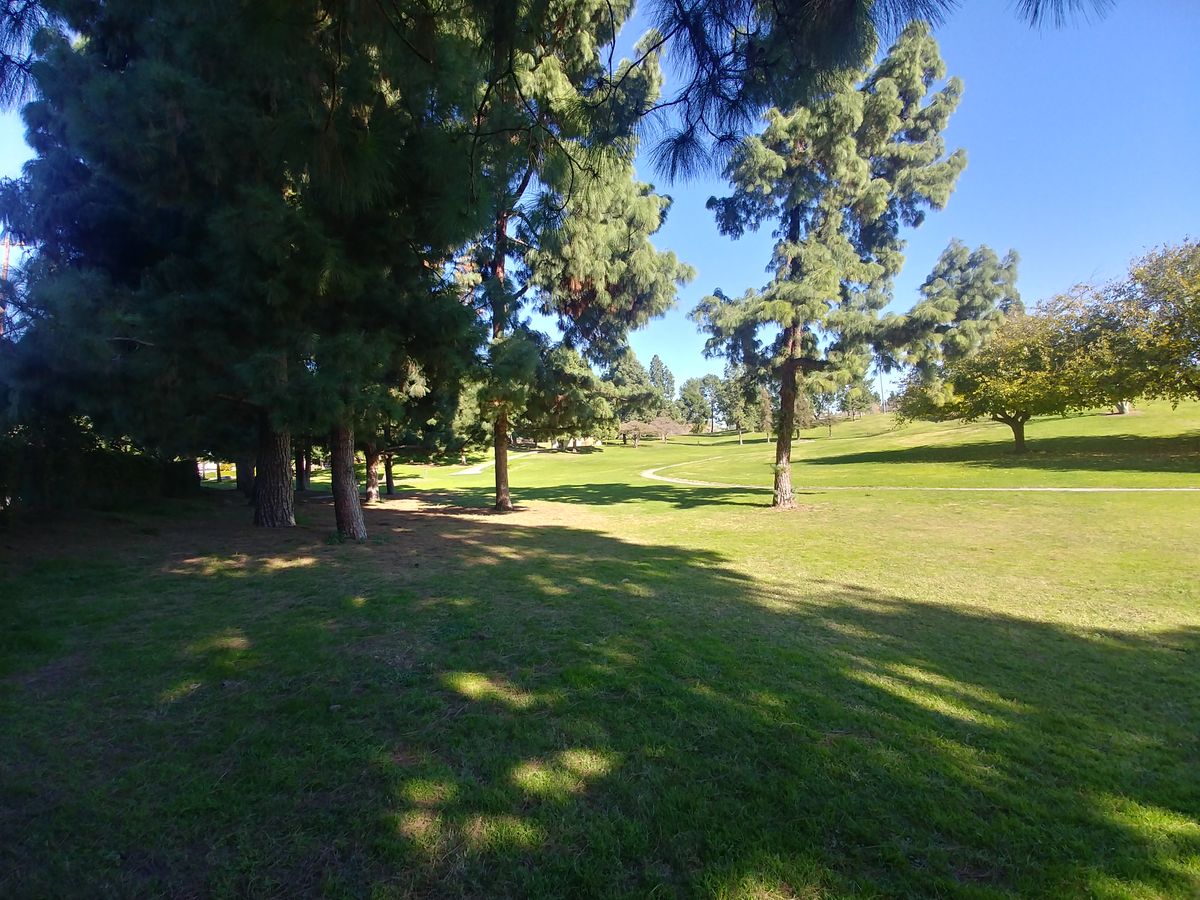 Hole 5 Tee