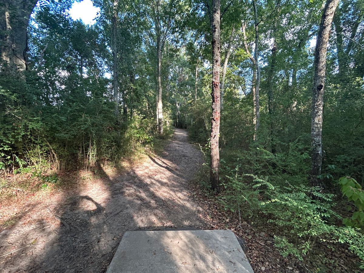 Hole 6 Fairway (Red)
