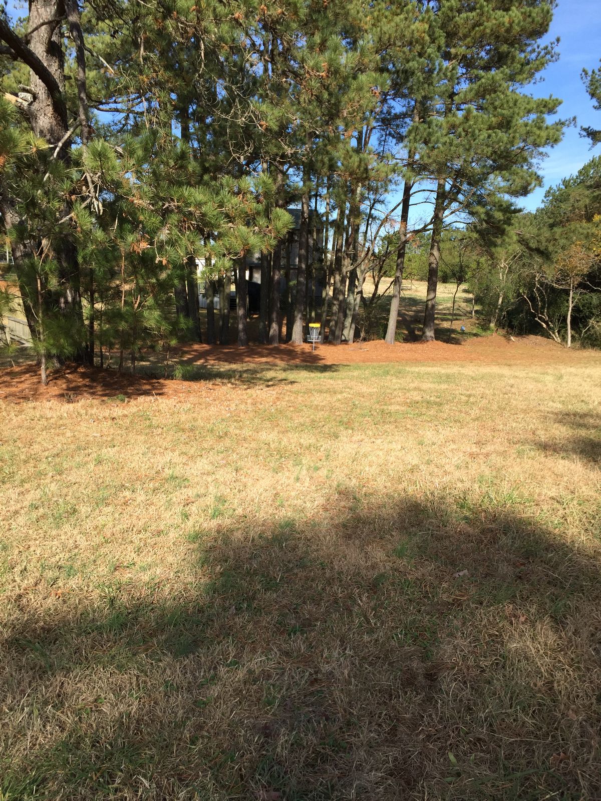 Hole #18 Basket