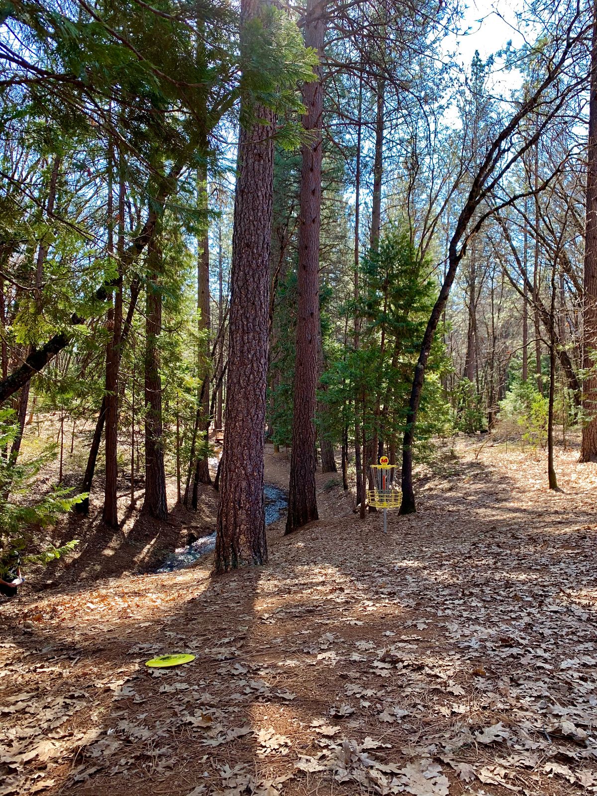 Hole 14