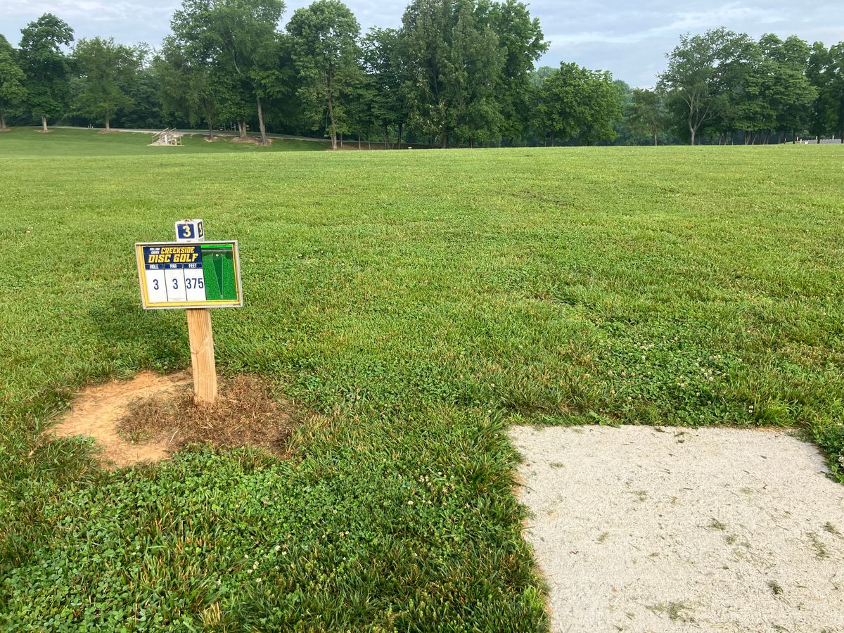 Hole 3 350,ft slightly downhill under tree line. Road plays OB.