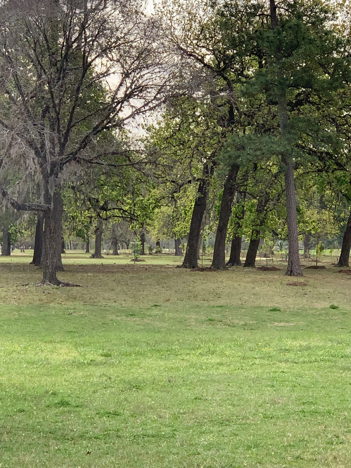 Hole 14 zoom