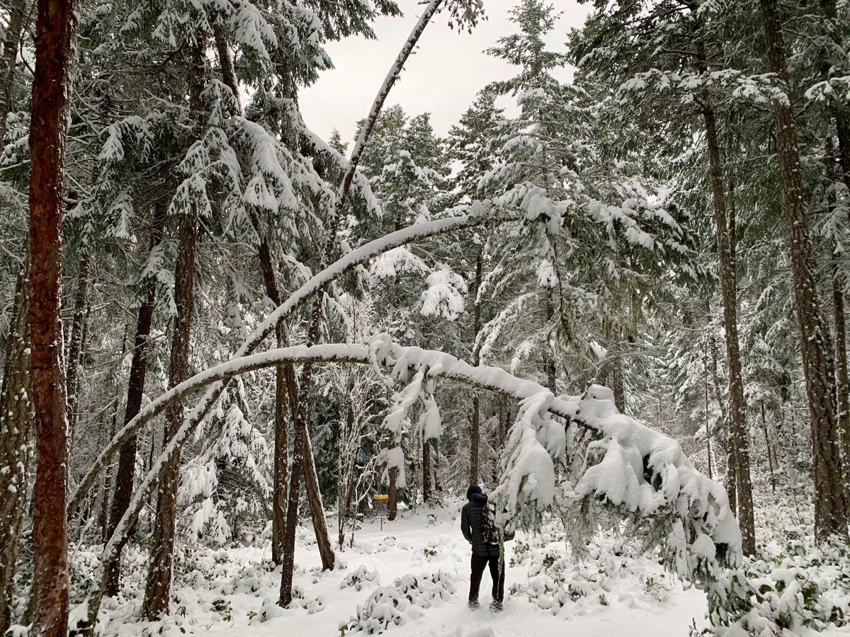 Epic snow day!