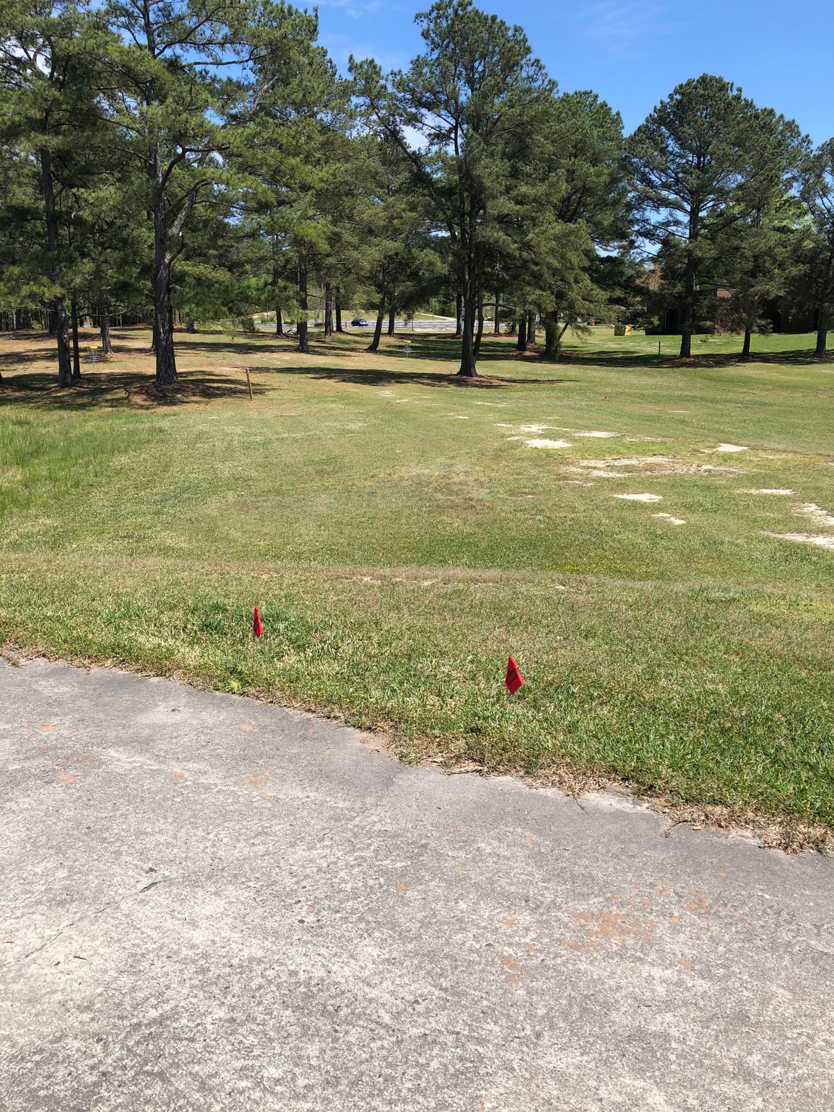 Hole #8