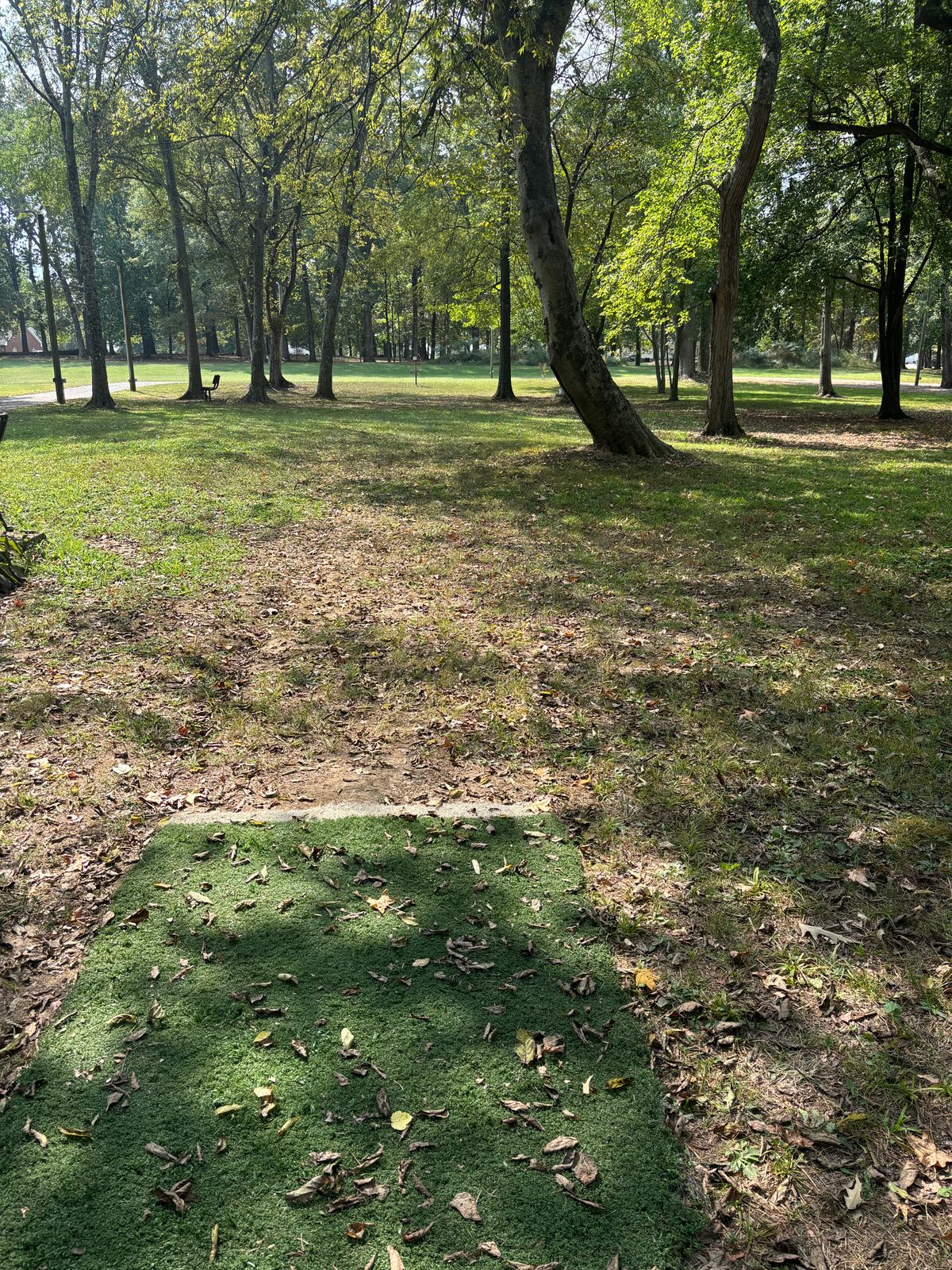 Hole 6 teepad