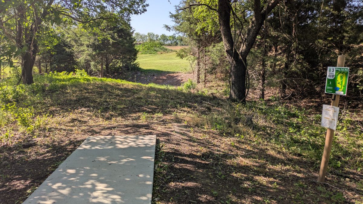 Tee #8
