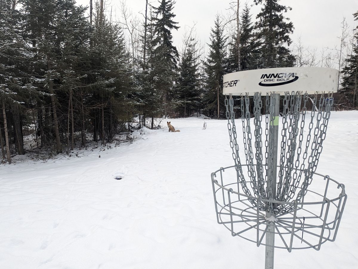 The locals were hanging out at hole 10 this morning
