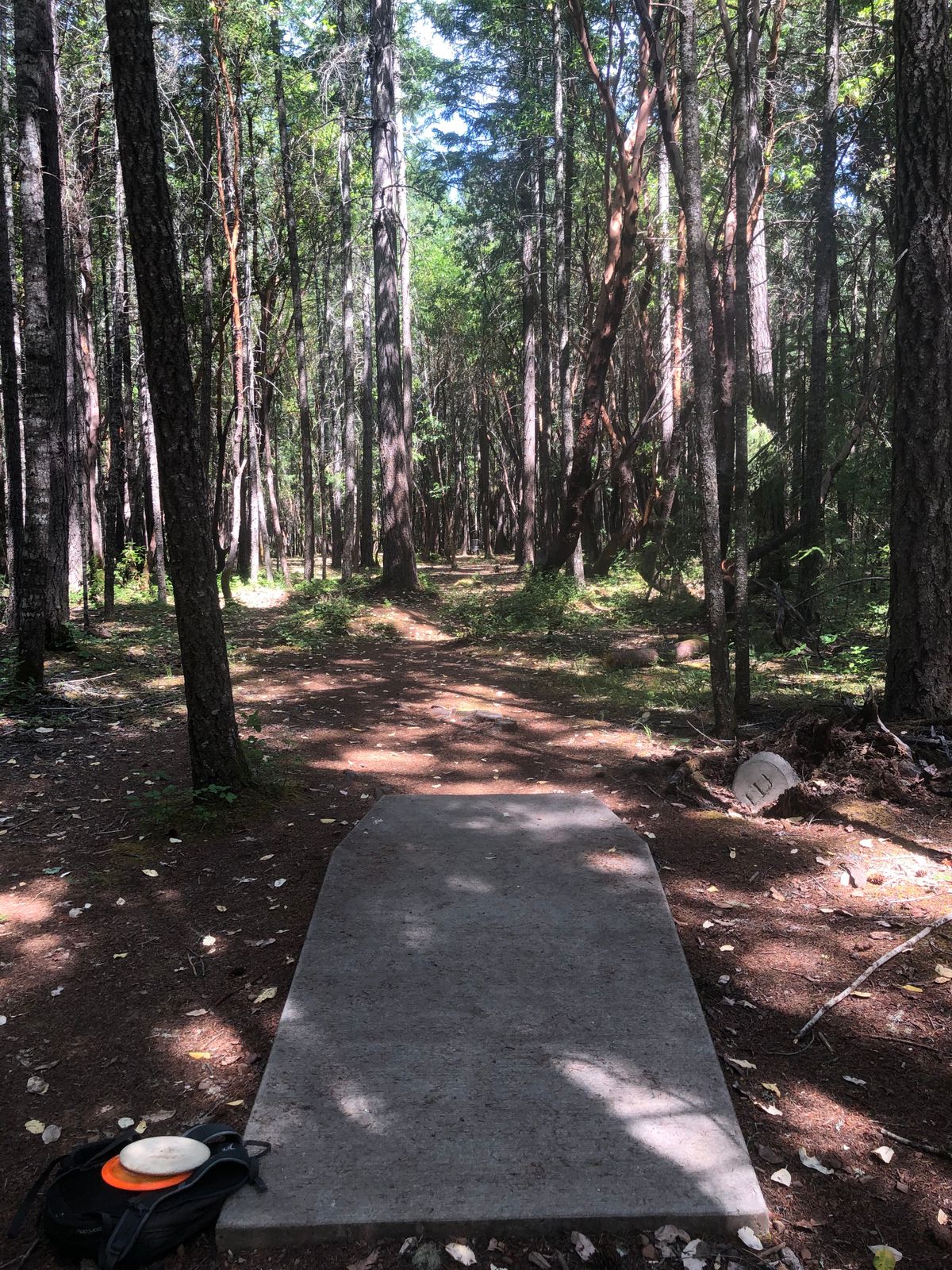 Hole 3 tee