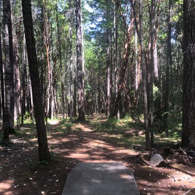 Hole 3 tee