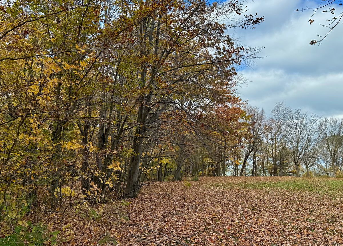 Basket is tucked way back and to the left behind some trees.  The key here is a good drive.