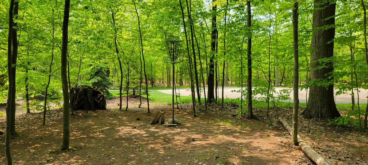 Hole 7 green