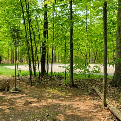 Hole 7 green