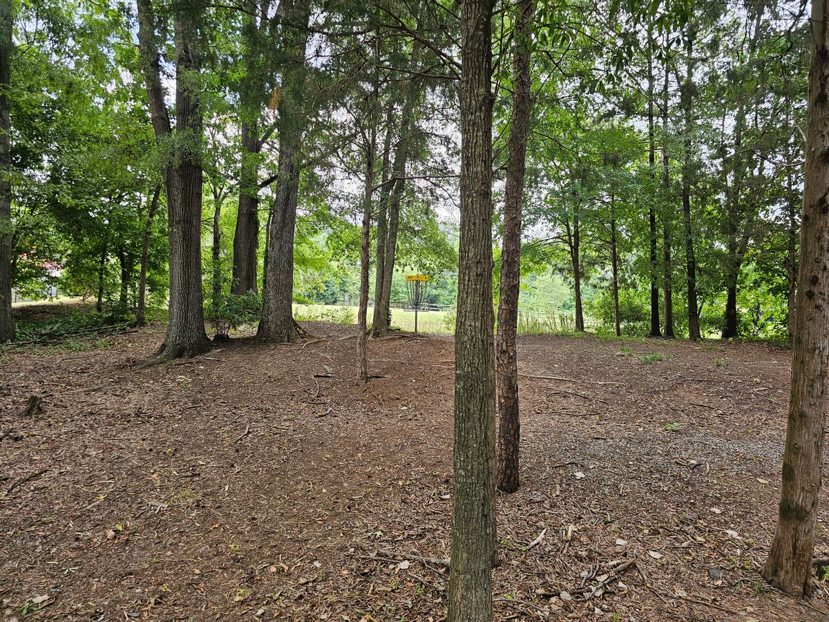 Hole 7's basket