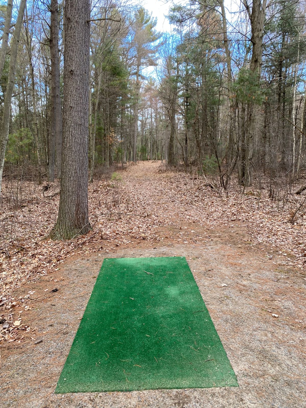 Hole 5