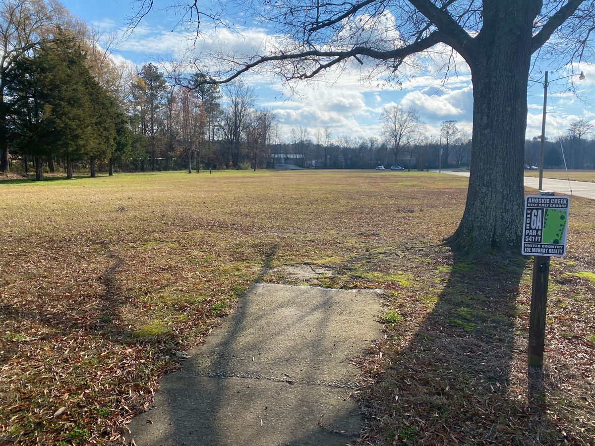 Hole 6 long pad