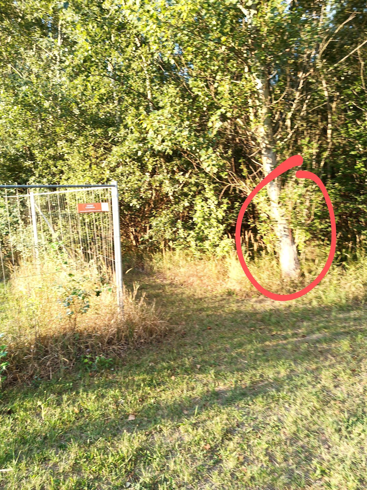 Target Hole 8