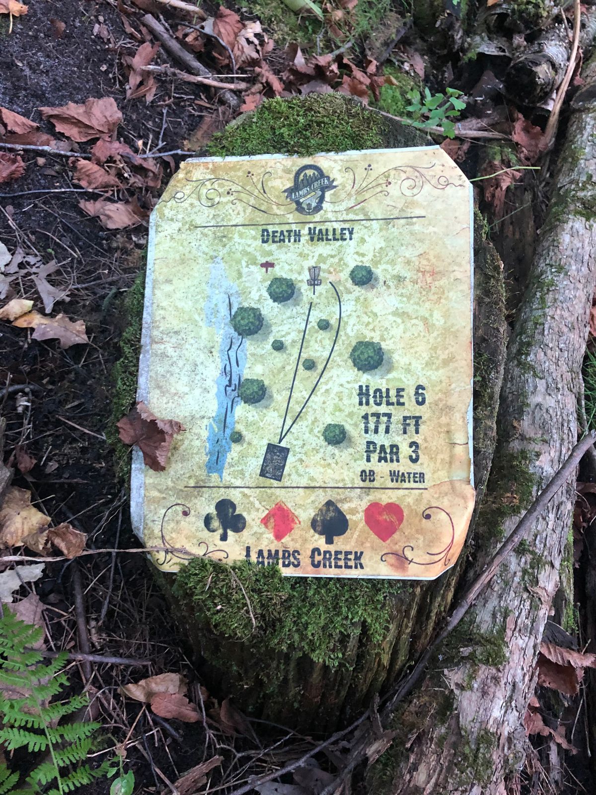 Hole 6 Tee