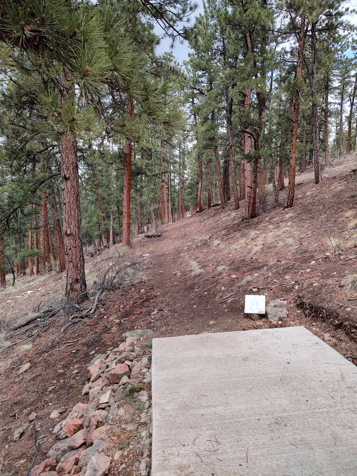 Hole 5
