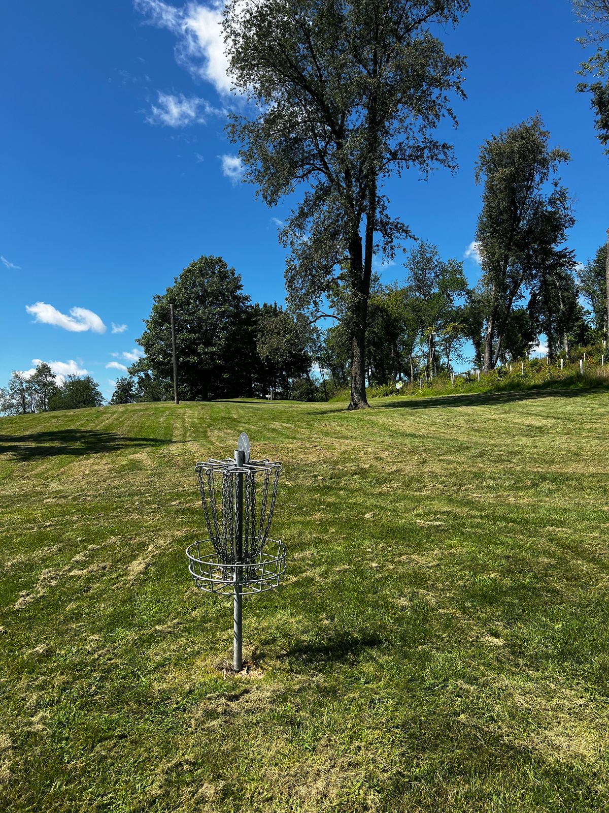 Hole R Basket
